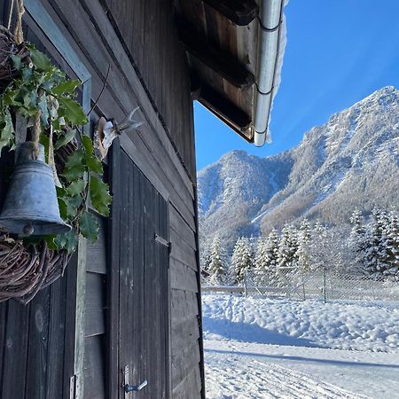 Chalet Am Weissenbach Hinterstoder Ngoại thất bức ảnh