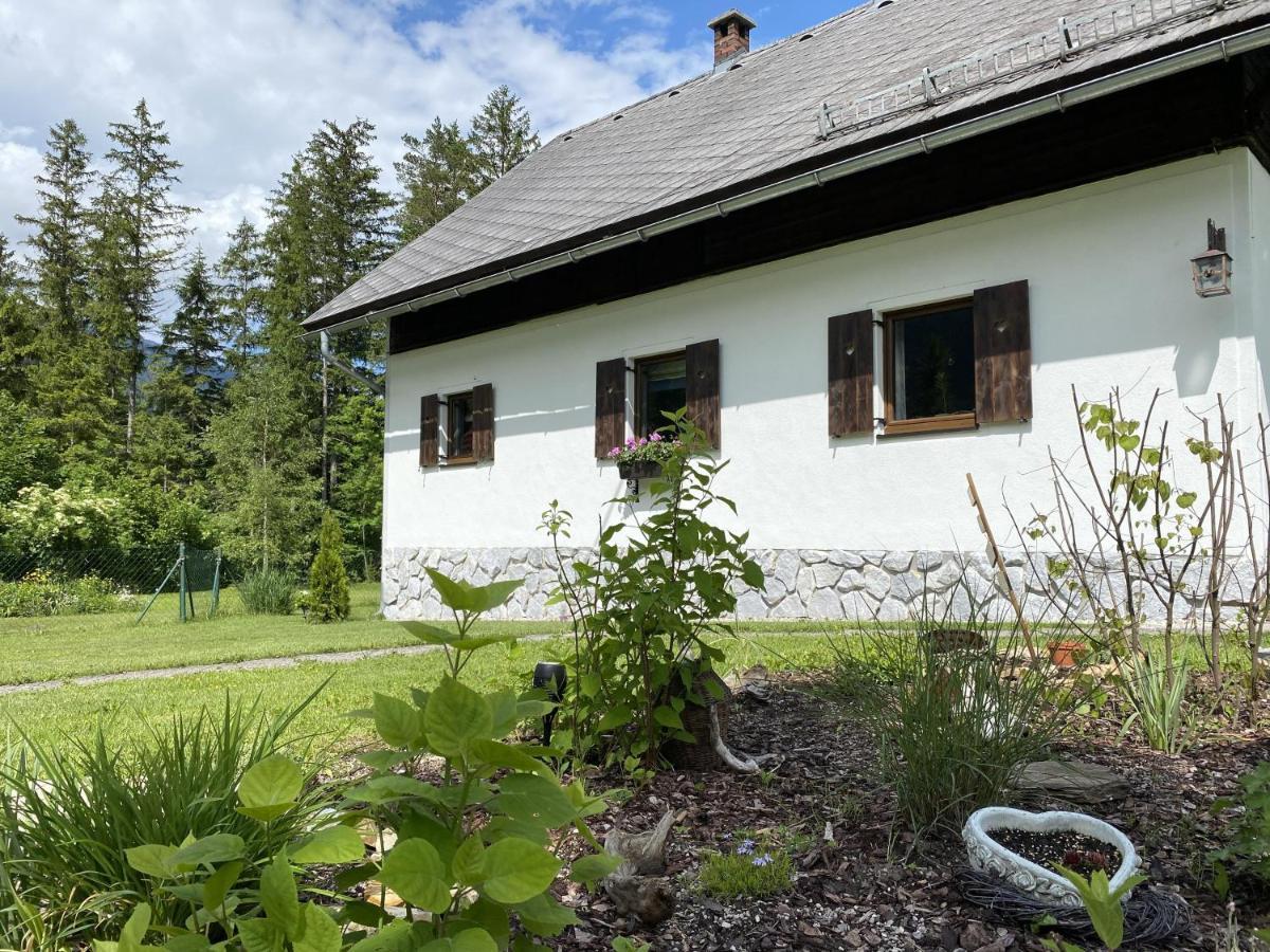 Chalet Am Weissenbach Hinterstoder Ngoại thất bức ảnh