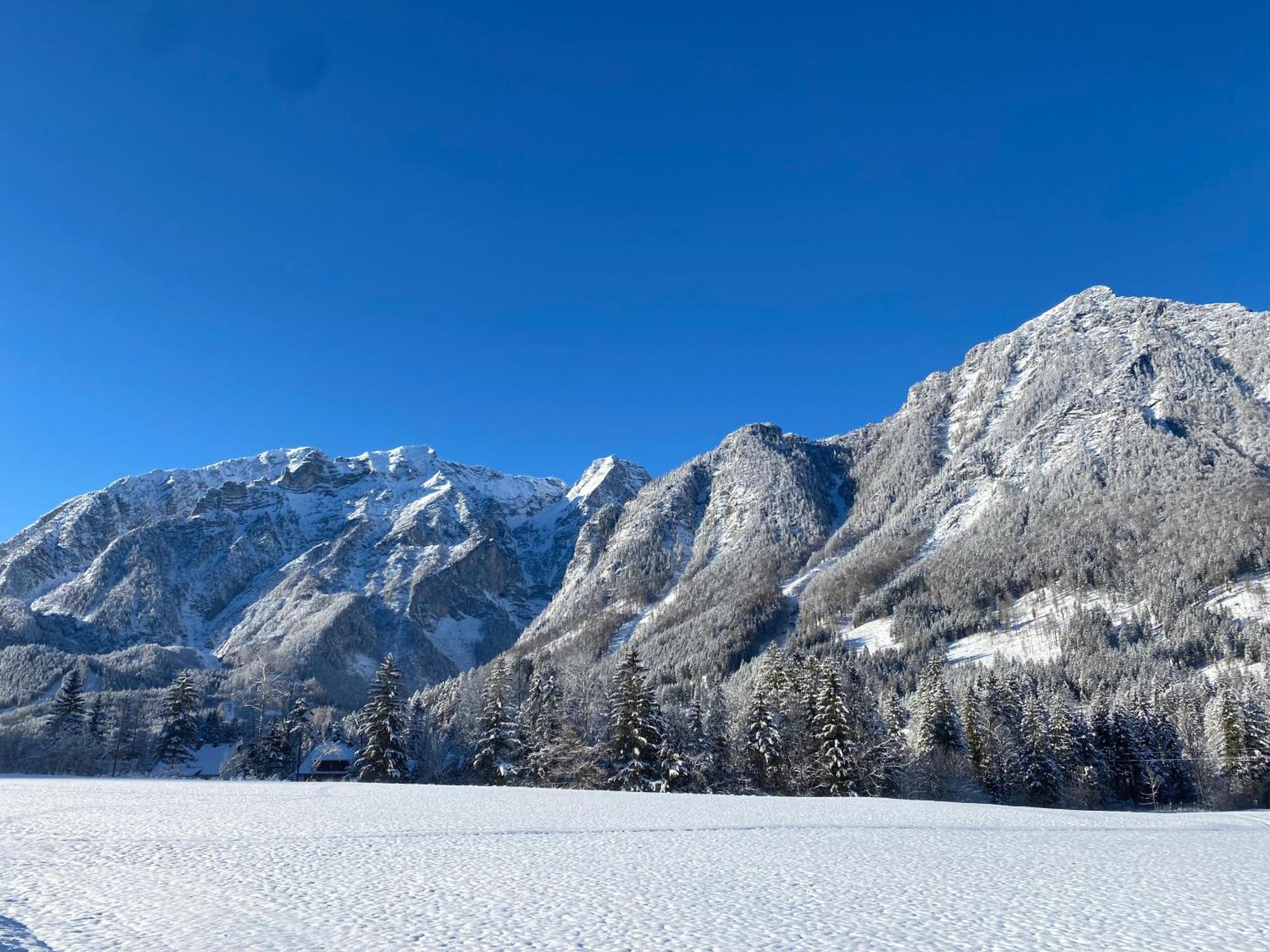 Chalet Am Weissenbach Hinterstoder Ngoại thất bức ảnh