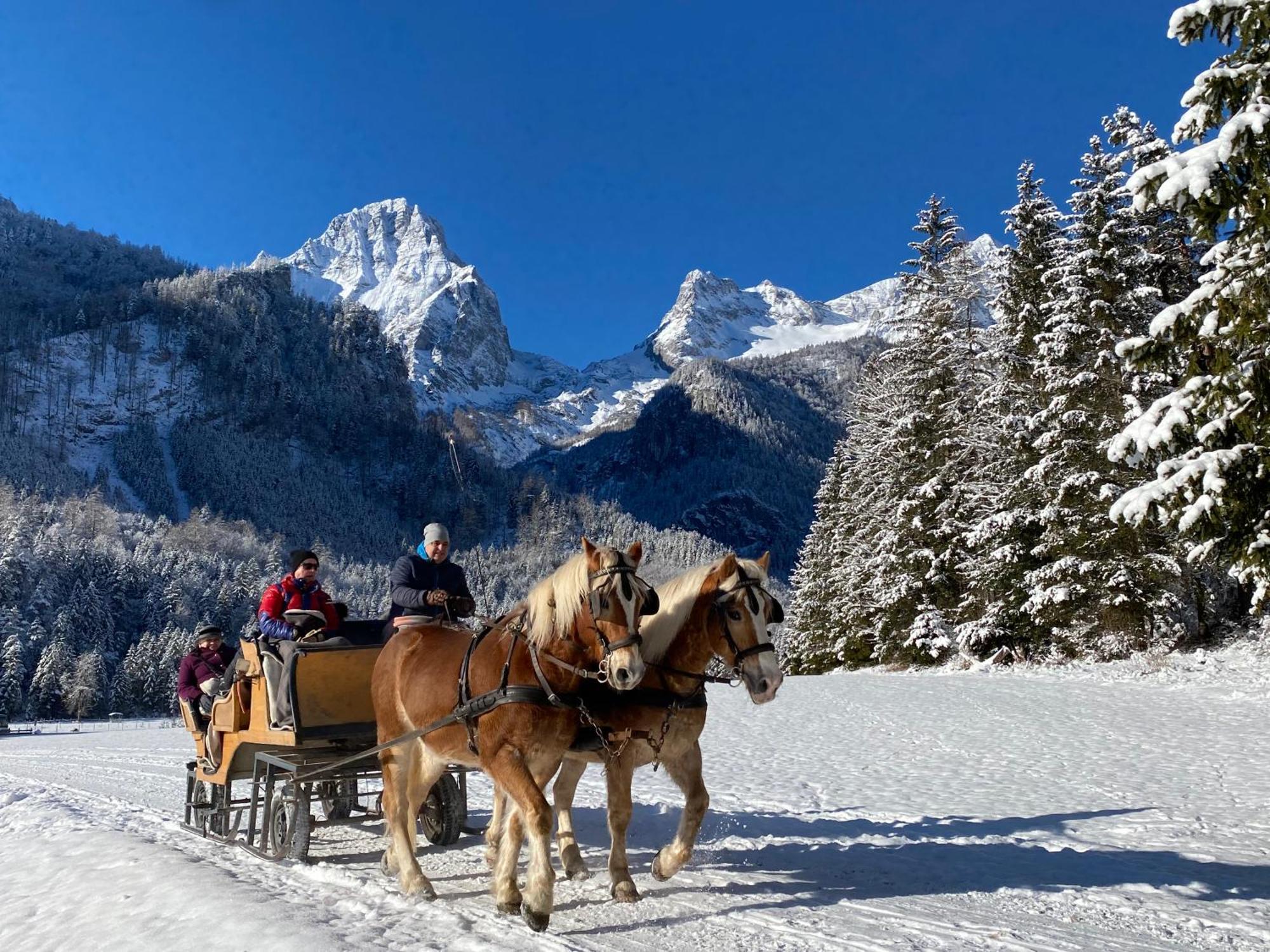Chalet Am Weissenbach Hinterstoder Ngoại thất bức ảnh